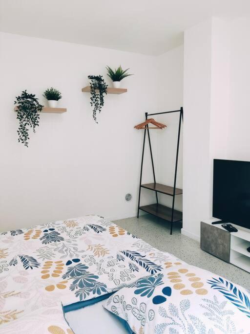 Magnifique Appartement T3 50 M2 Obernai Eksteriør bilde